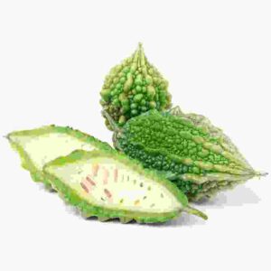Green Bitter Melon Gourd